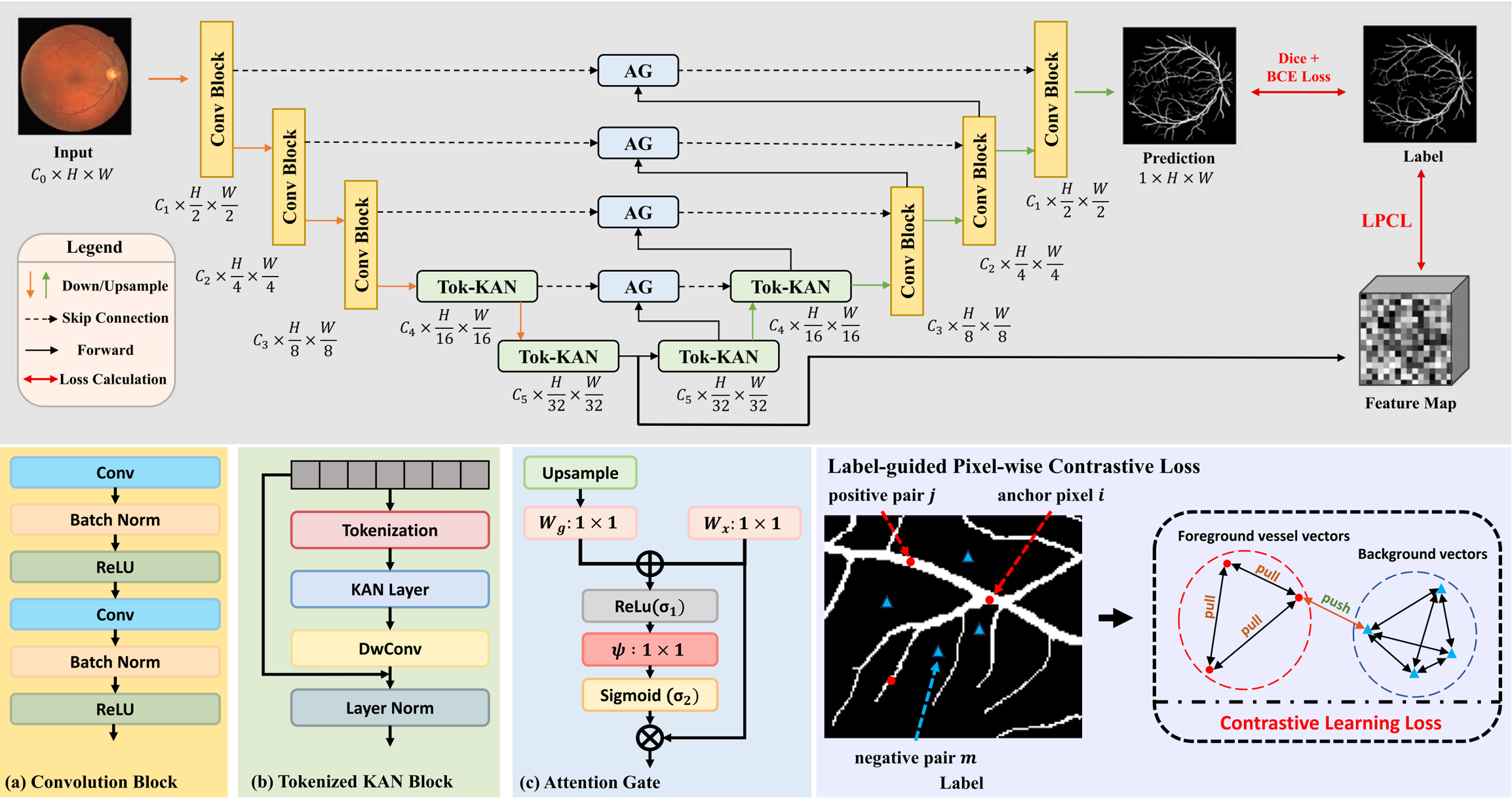 Novel extraction of discriminative fine-grained feature to improve retinal vessel segmentation