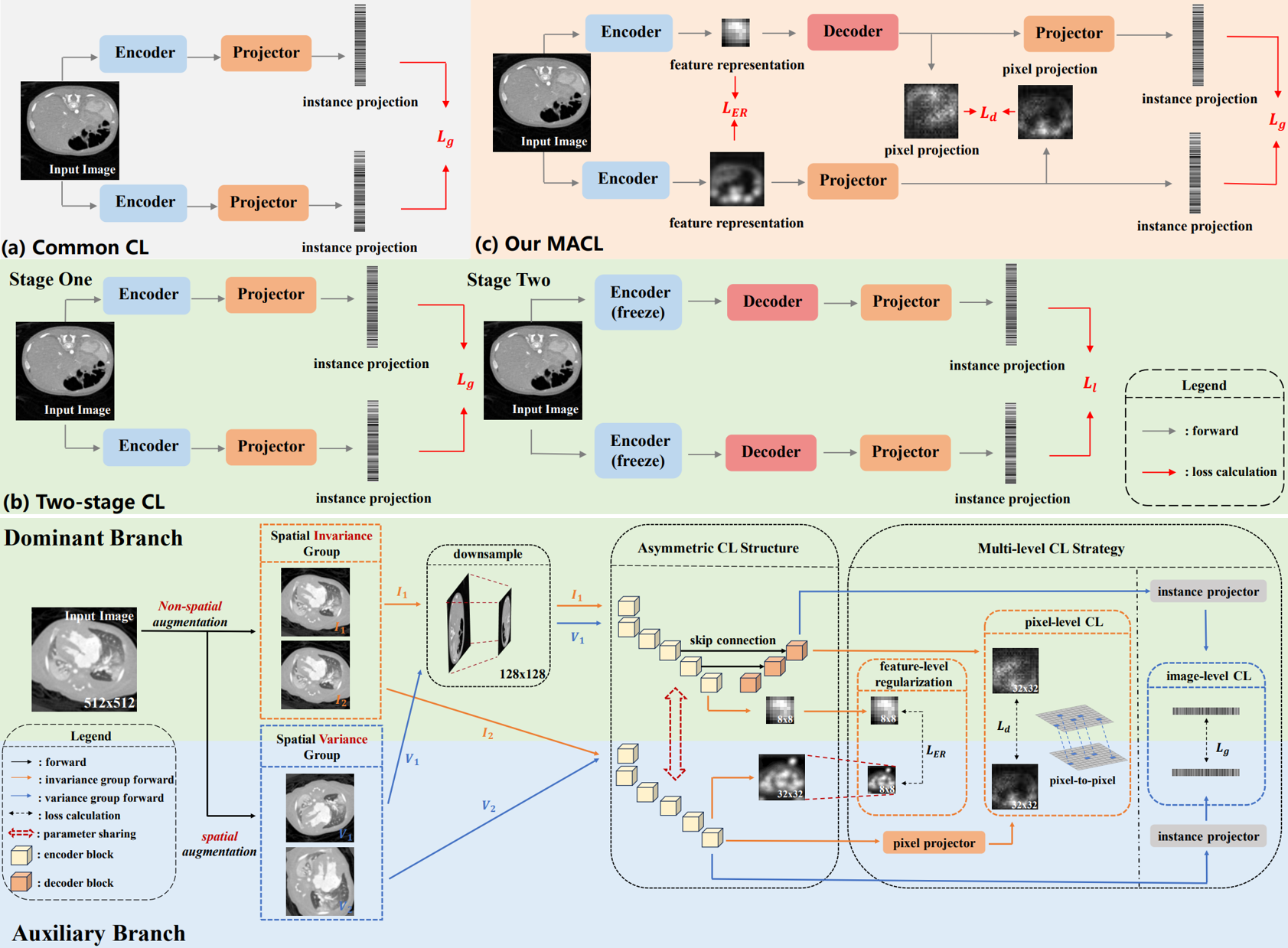 Multi-level Asymmetric Contrastive Learning for Medical Image Segmentation Pre-training